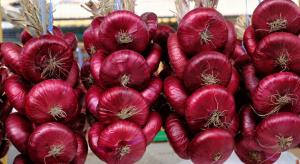 Czy to możliwe, aby rozwijać legendarny jałtańskiej cebulę w innych regionach z wyjątkiem Krymu?