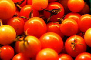 Przydatne cud nawóz do pomidorów z pokrzywy