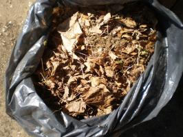 Szybkie kompost dla ogórków i cukinii. Telefony łóżka