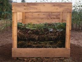 Jak umiejętnie zrobić dobry kompost