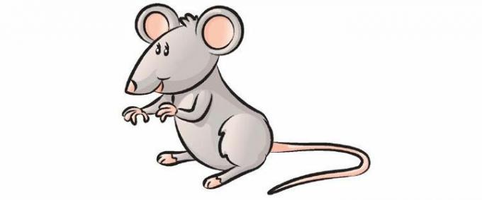 Niektórzy ludzie mają jeden typ myszy zdegustowany, więc zastąpiła je ze zdjęciami z obrazów internetowych