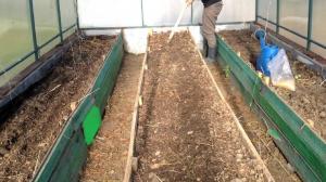 Obowiązkowe jesienią w leczeniu glebie szklarni z infekcjami i grzybów (nieszkodliwy sposób).