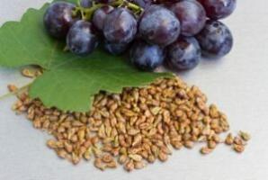 Przydatne właściwości pestek winogron, czy mają one ewentualnych przeciwwskazań
