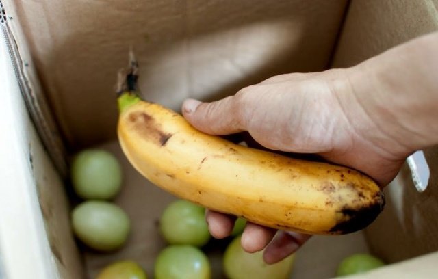 Banana doskonale spełnia swoją funkcję! (Ridoff.ru)