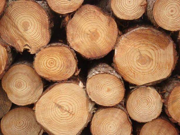 drewno tartaczne