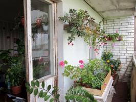 Jak wyposażyć ogród zimowy na balkonie