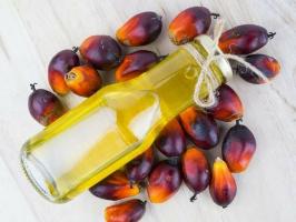 Jakie są korzystne i szkodliwe właściwości oleju palmowego?