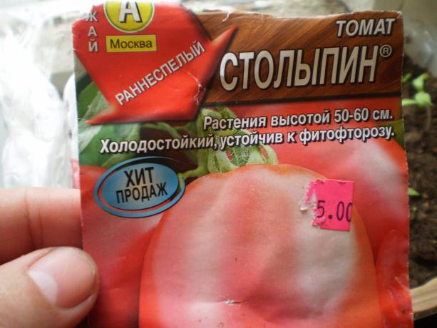 Odmiana pomidora „Stołypin”