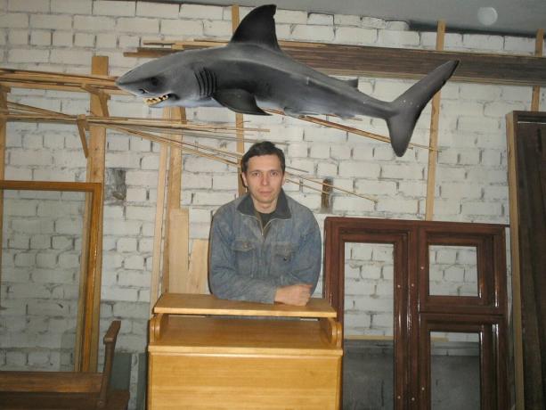 Shark pochodzi z serwisu Yandex-pictures