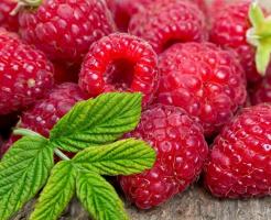 Berry-malina: Cechy sadzenia roślin oraz utrzymania. Zbiorów rocznie