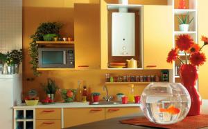 Ukrywanie kocioł gazowy w kuchni: maskujące przykłady