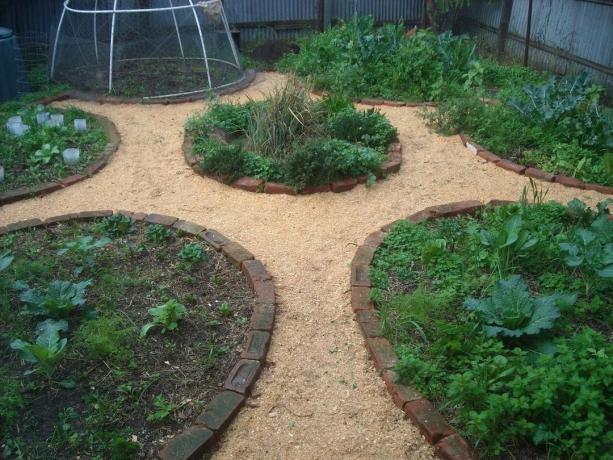 Ścieżka trocin w okolicy | Ogród i ogrodnictwo