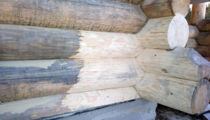 Jak zwrócić drewno na białym tle?