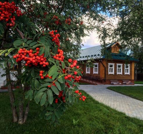 Rowan - tradycyjna ozdoba rosyjskich wsiach! (Zdjęcie z playcast.ru)