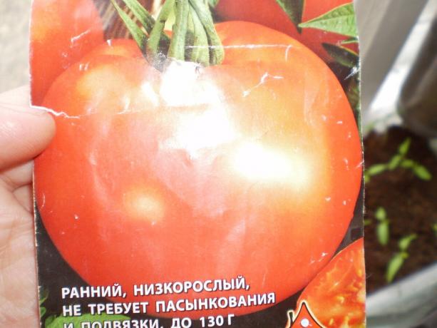 Odmiana pomidora „White napełniania 241 '