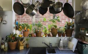 Jak oryginalny i praktyczny dodatek do wewnątrz rośliny i zioła do wnętrza kuchni. 7 porad projektowych