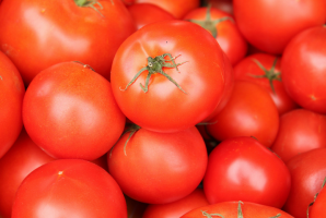 Jak wybrać pomidorów w 2019 roku?