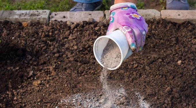 Najlepszym rozwiązaniem gleby odtleniania | ZikZak